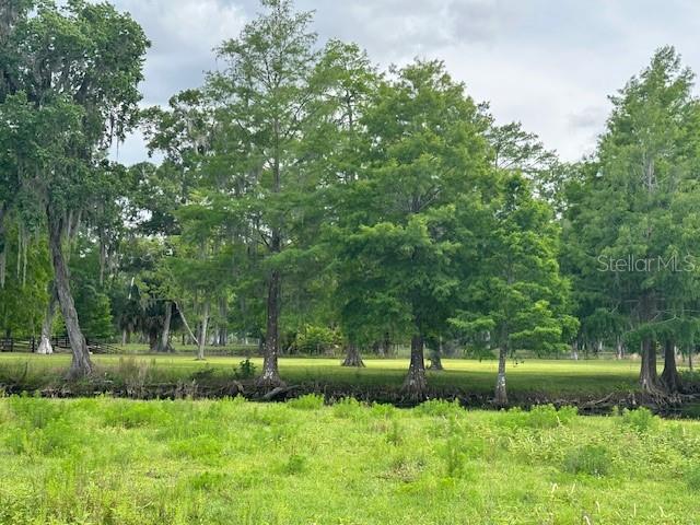 TBD CORKWOOD LN, ASTATULA, FL — photo 74