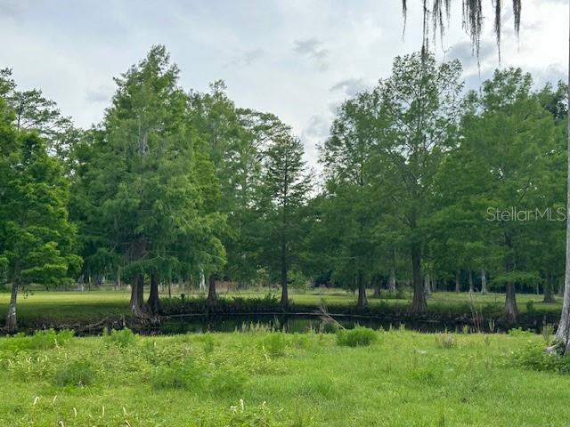 TBD CORKWOOD LN, ASTATULA, FL — photo 75