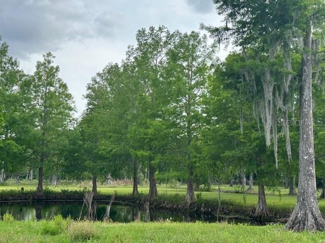 TBD CORKWOOD LN, ASTATULA, FL — photo 78