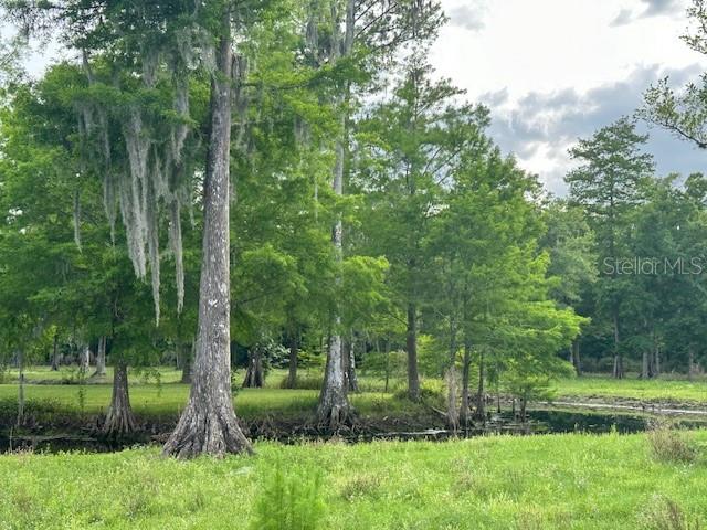 TBD CORKWOOD LN, ASTATULA, FL — photo 79