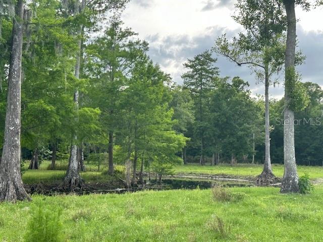 TBD CORKWOOD LN, ASTATULA, FL — photo 81