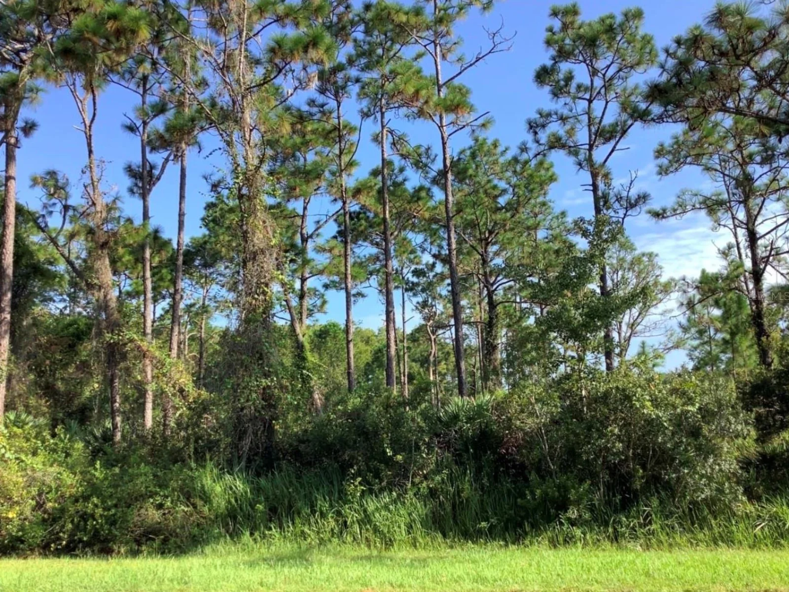 QUINELLA ST, ORLANDO, FL — photo 2