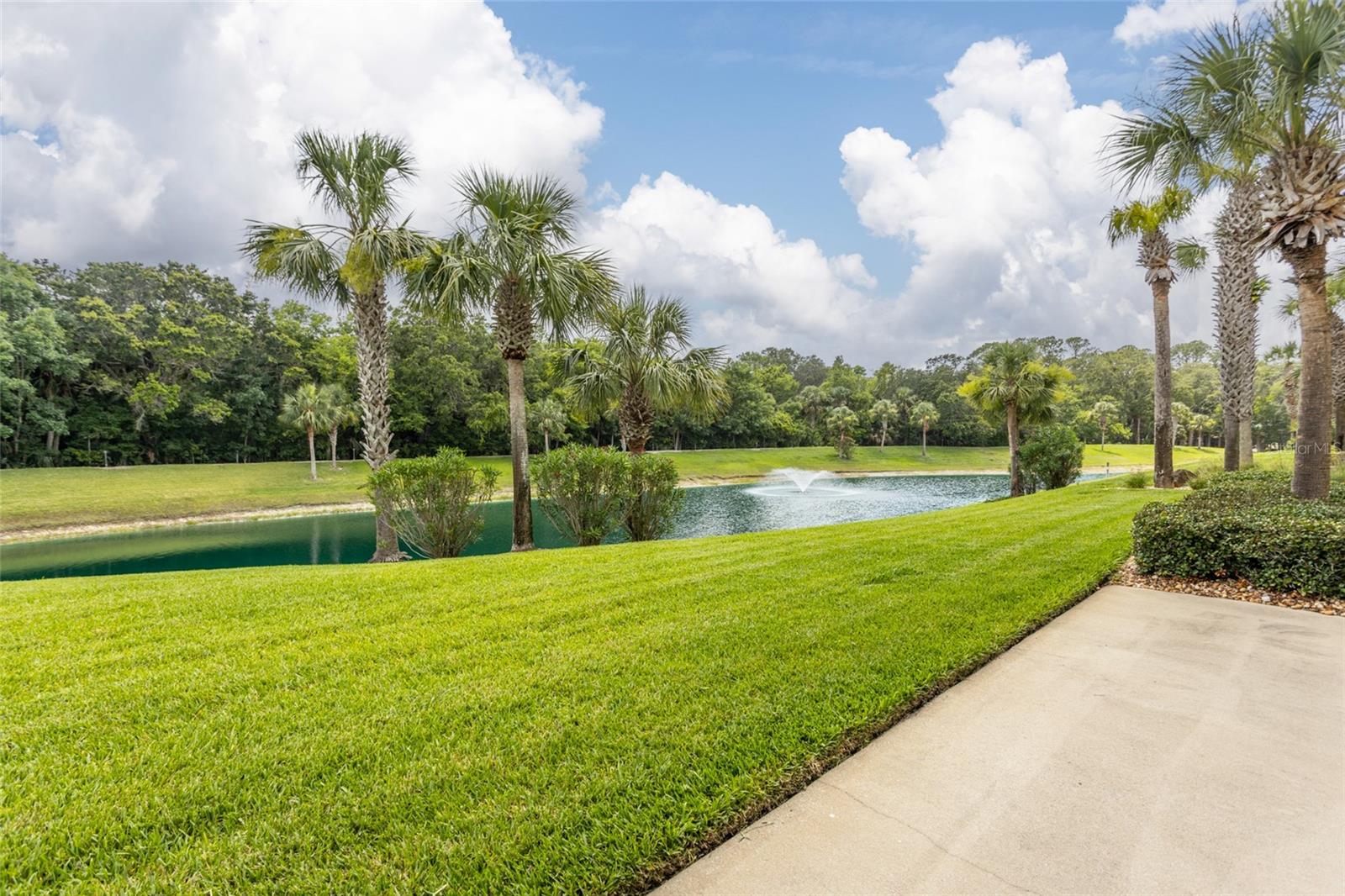 1100 CANOPY WALK LN #1113, PALM COAST, FL — photo 23