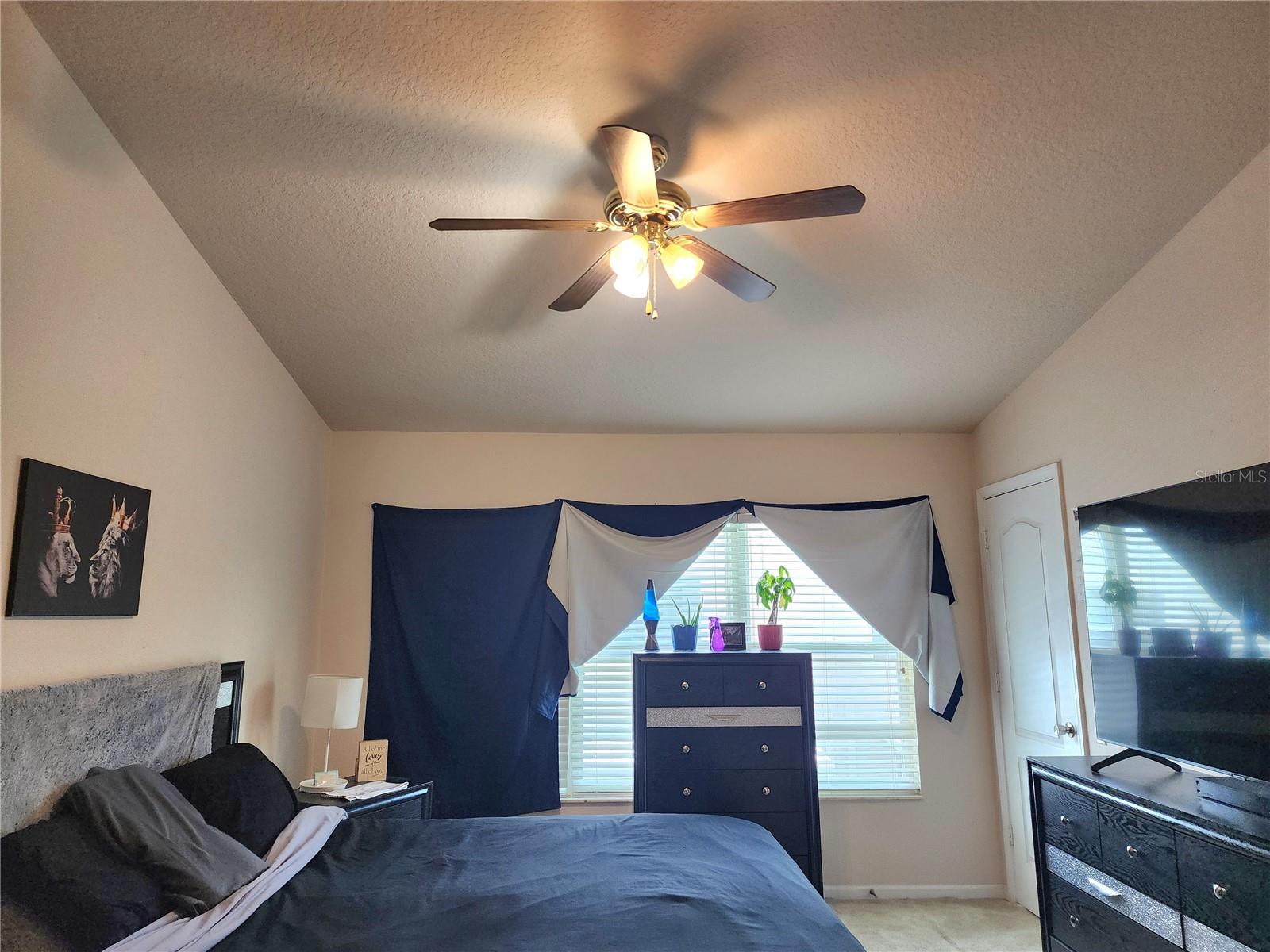 26541 CHIMNEY SPIRE LN, WESLEY CHAPEL, FL — photo 11