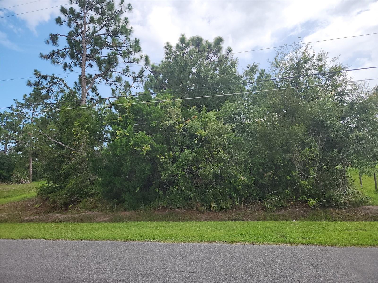 RALSTON ST, ORLANDO, FL — photo 3