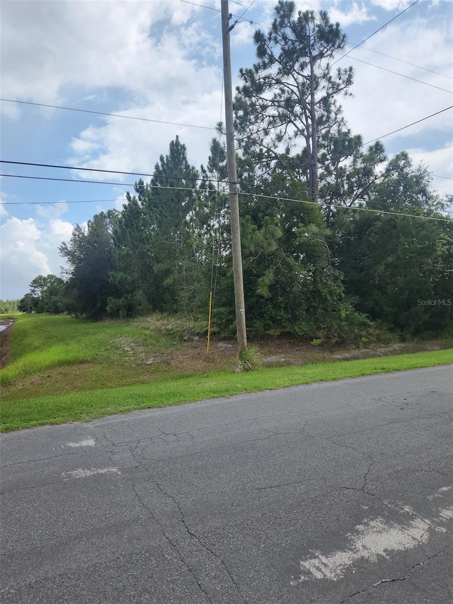 RALSTON ST, ORLANDO, FL — photo 7