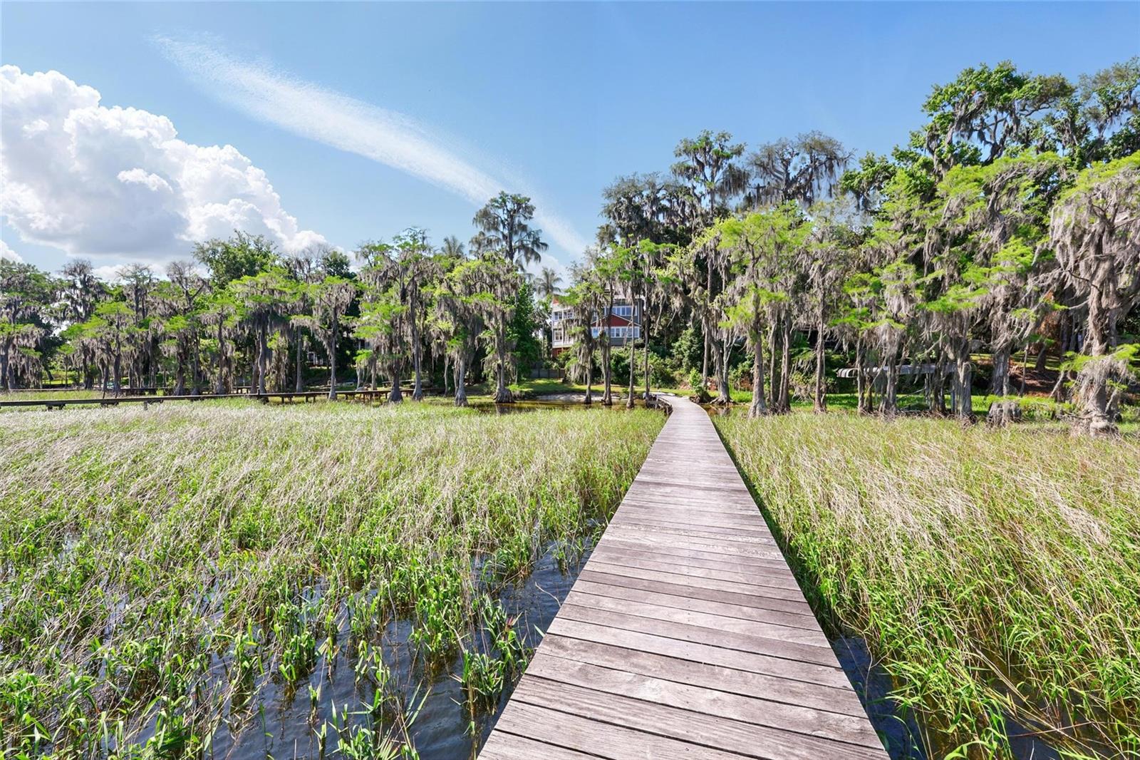 23014 NE 69TH AVE, MELROSE, FL — photo 89