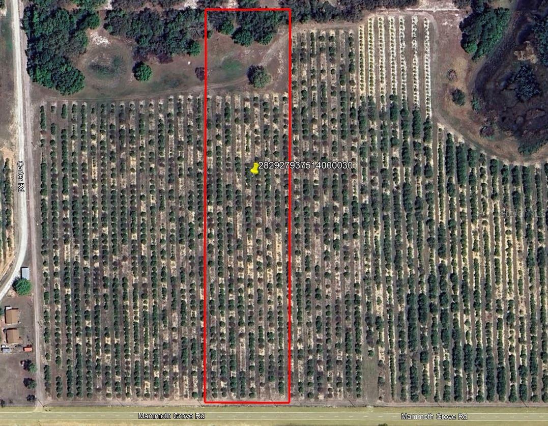 MAMMOTH GROVE ROAD, LAKE WALES, FL