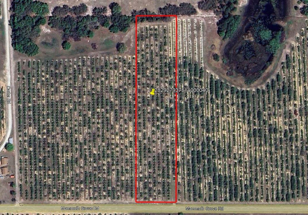 MAMMOTH GROVE ROAD, LAKE WALES, FL