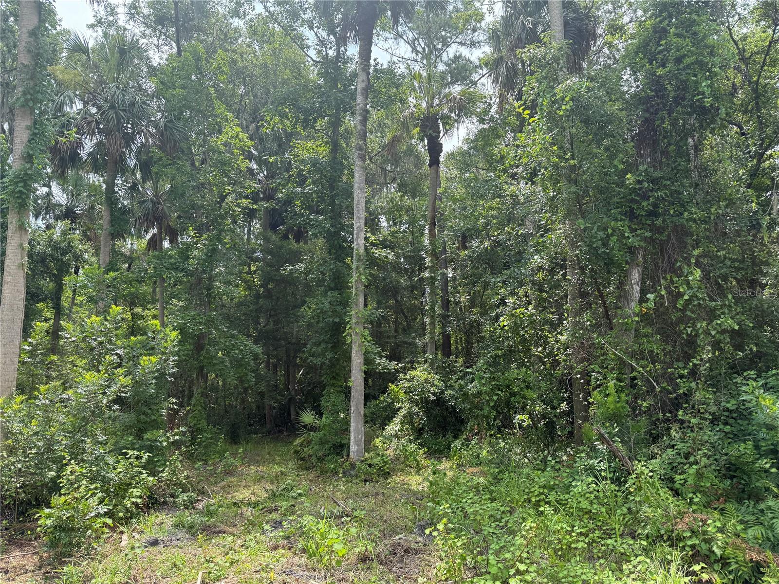 OKALOOSA TRL, SORRENTO, FL — photo 3