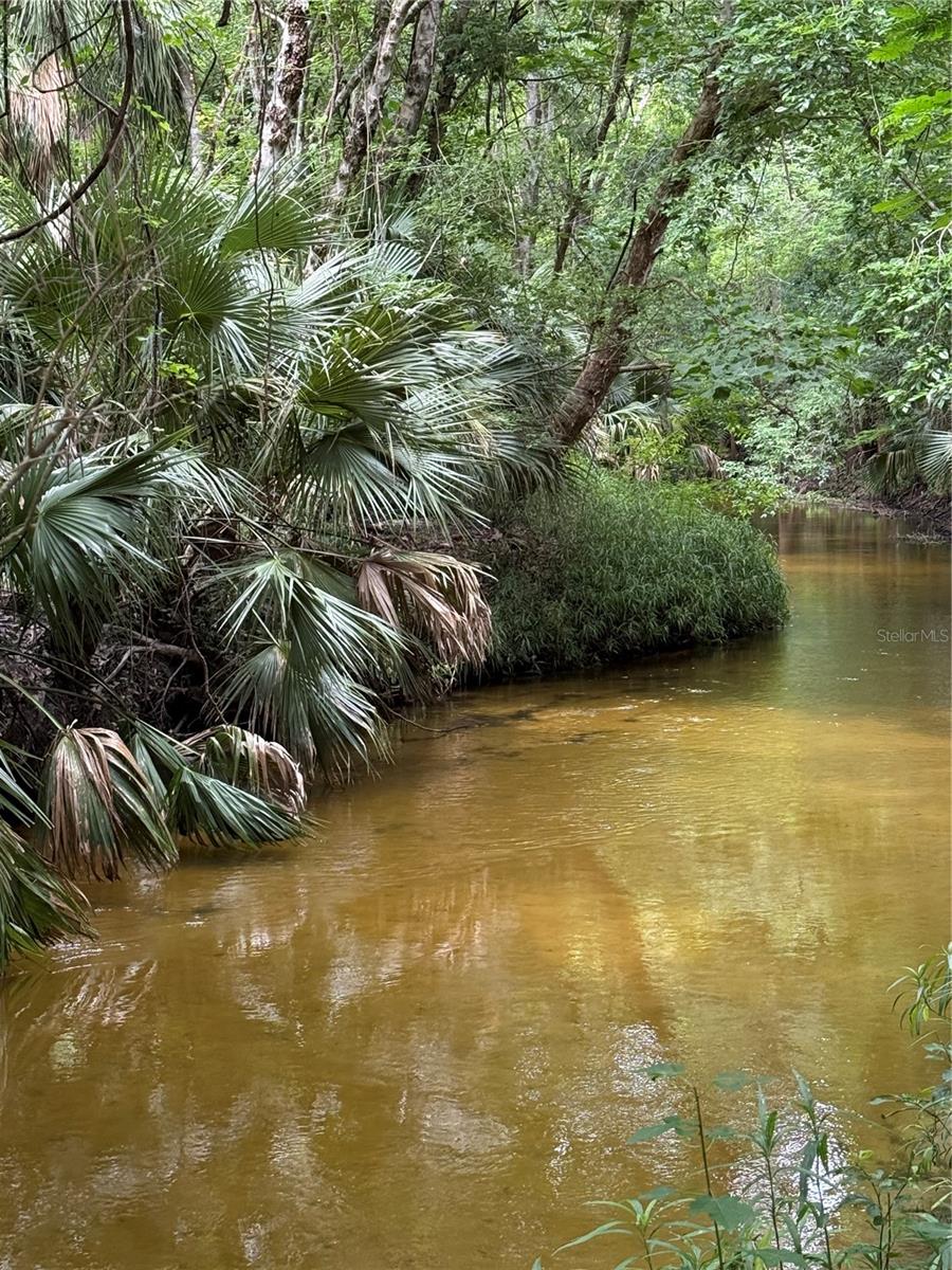 OKALOOSA TRL, SORRENTO, FL — photo 8