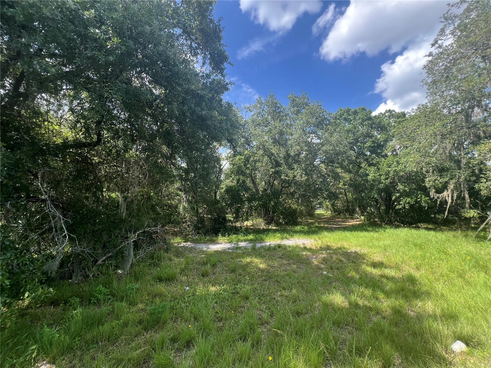 1308 E ALSOBROOK ST, PLANT CITY, FL — photo 9