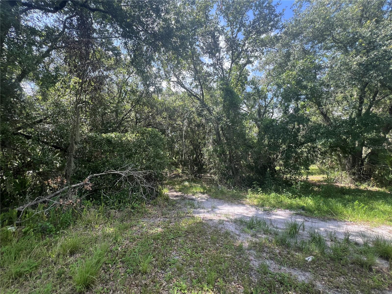 1308 E ALSOBROOK ST, PLANT CITY, FL — photo 11