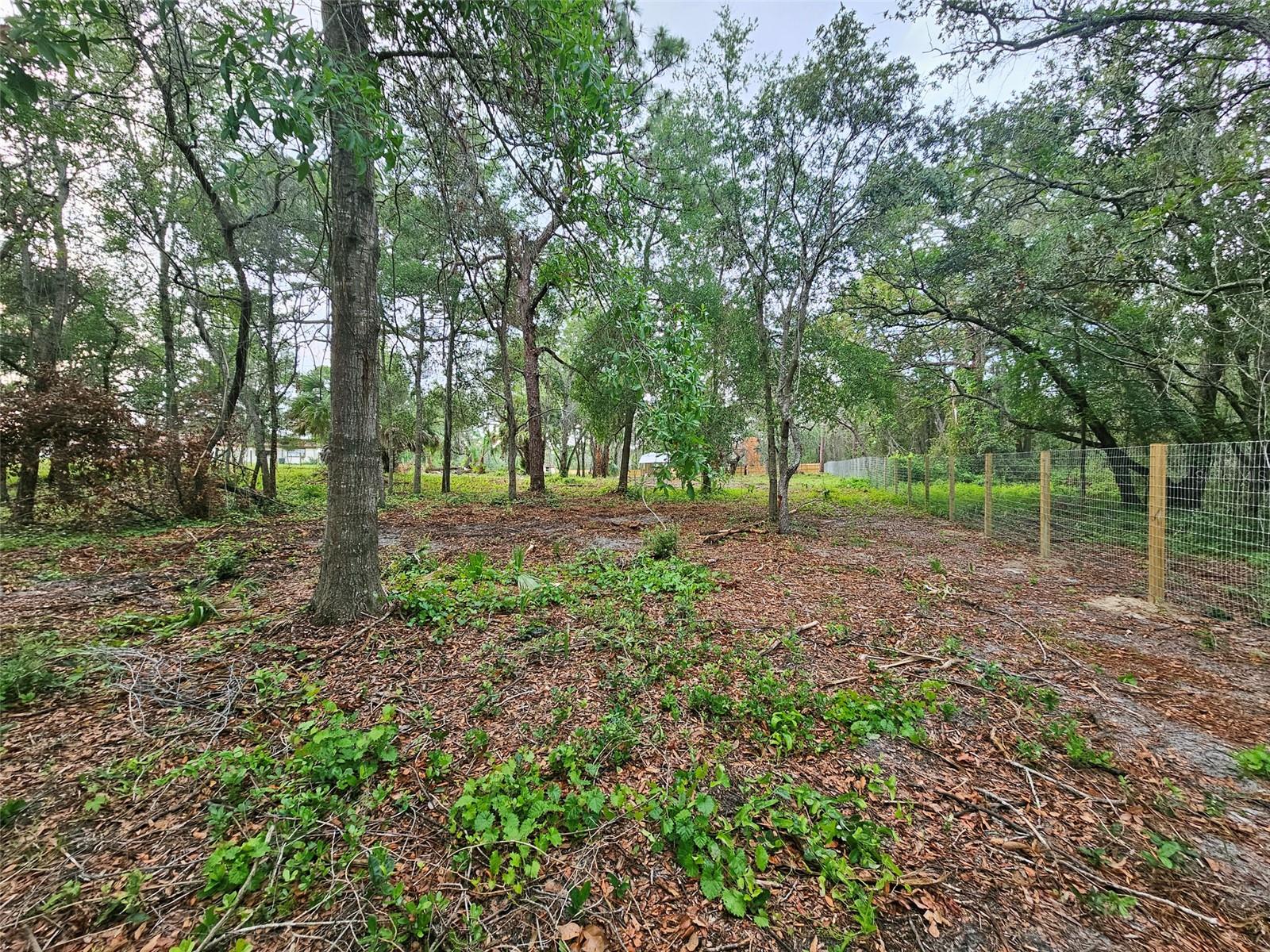 17132 RIDGELINE TRL, HUDSON, FL — photo 6