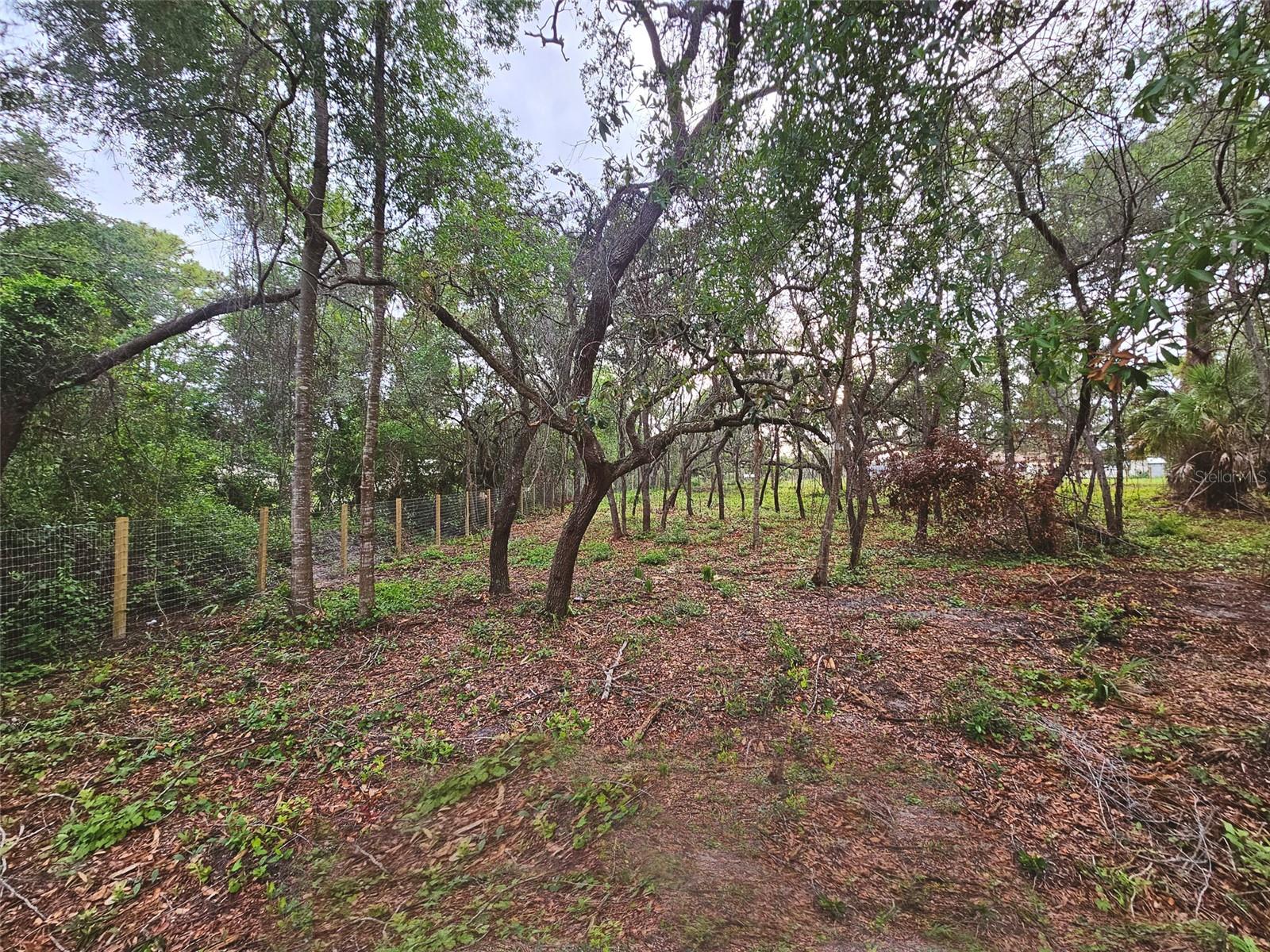 17132 RIDGELINE TRL, HUDSON, FL — photo 11