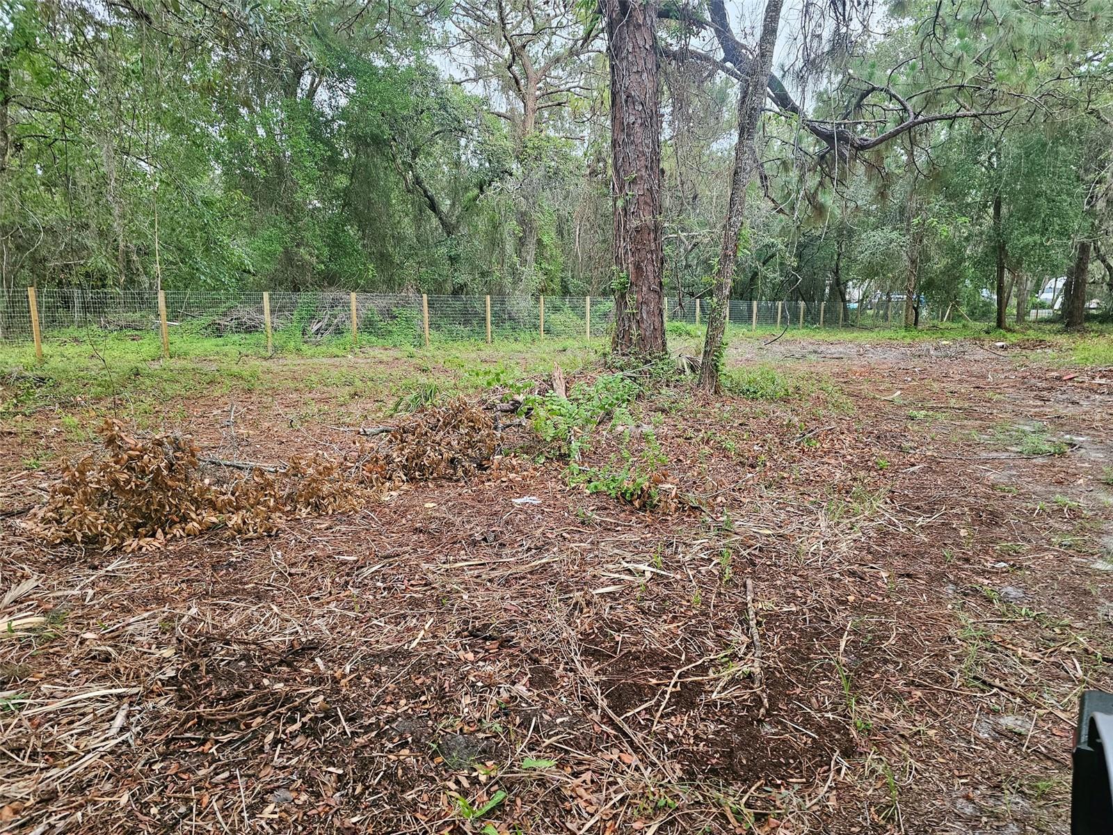17132 RIDGELINE TRL, HUDSON, FL — photo 12