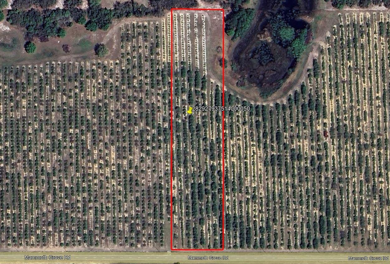 MAMMOTH GROVE ROAD, LAKE WALES, FL