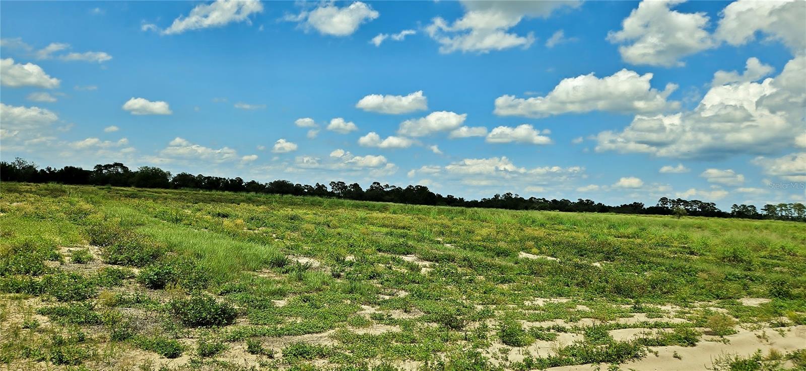 MAMMOTH GROVE ROAD, LAKE WALES, FL — photo 4