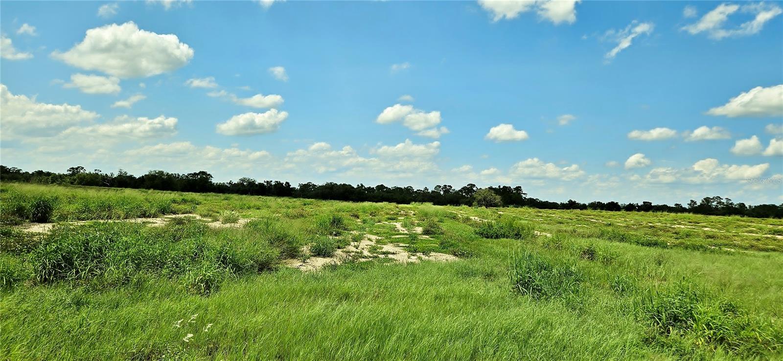 MAMMOTH GROVE ROAD, LAKE WALES, FL — photo 5