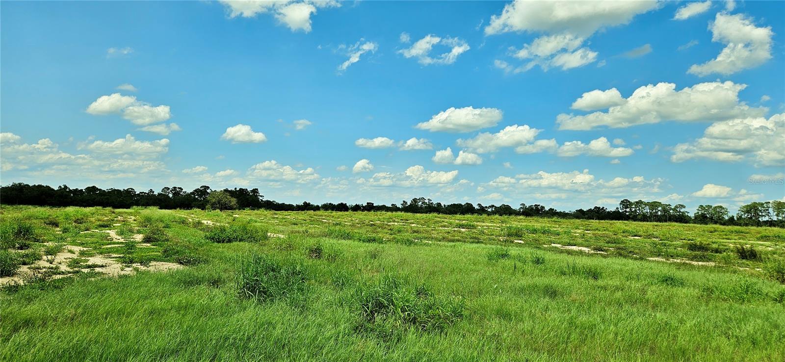 MAMMOTH GROVE ROAD, LAKE WALES, FL — photo 6