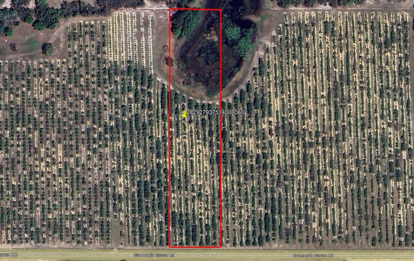 MAMMOTH GROVE ROAD, LAKE WALES, FL
