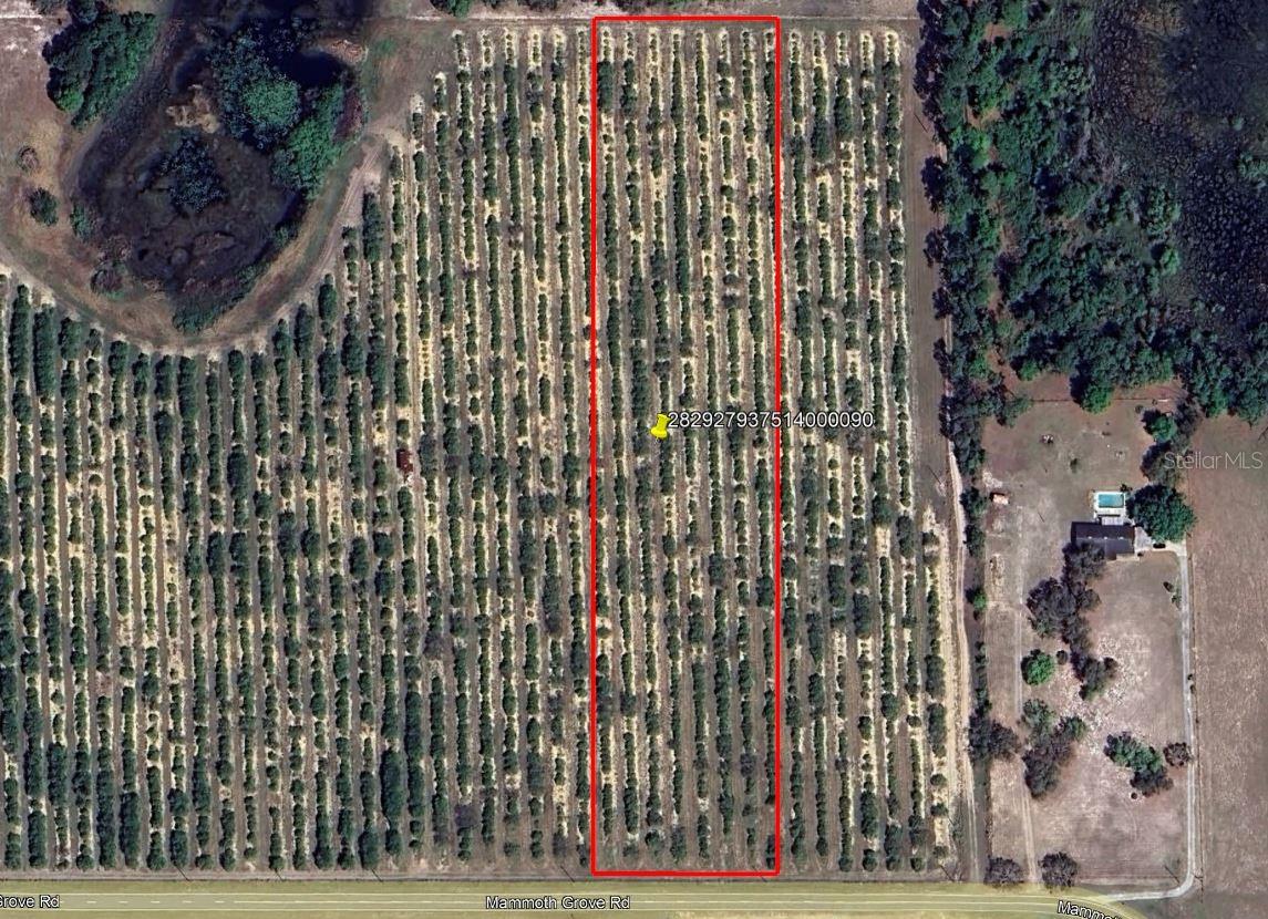 MAMMOTH GROVE ROAD, LAKE WALES, FL