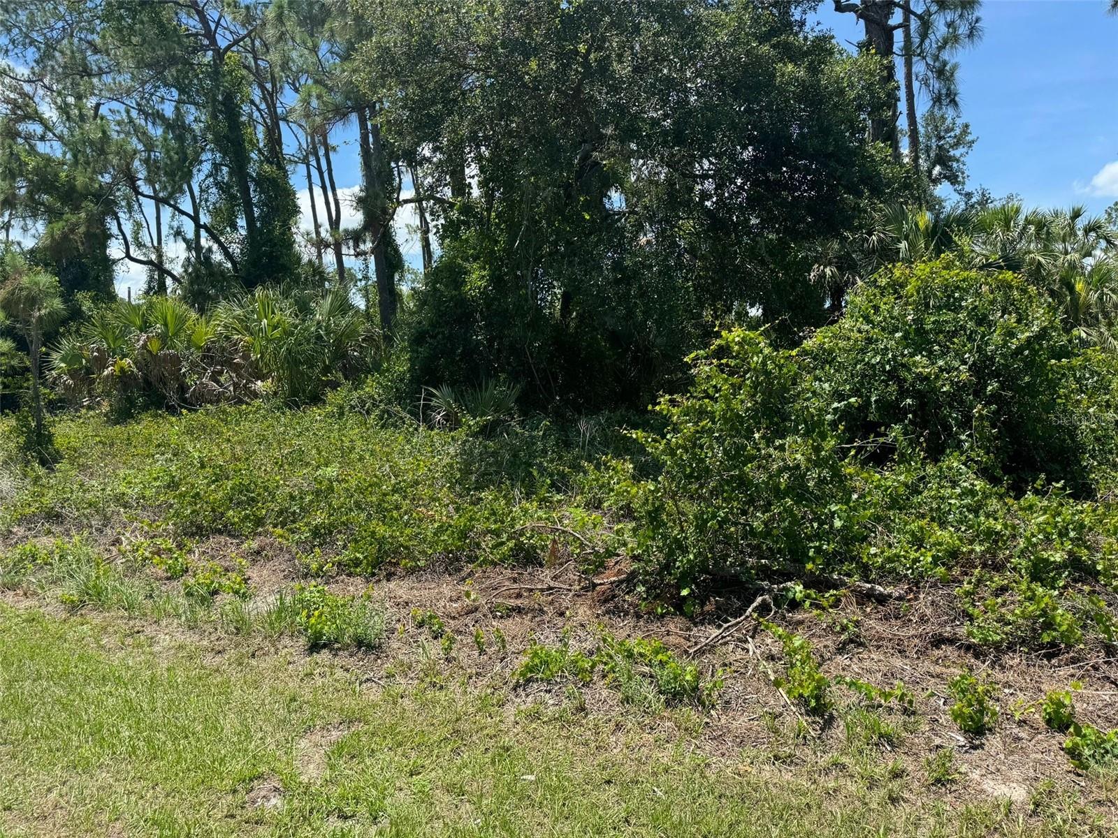 SW 135TH STREET ROAD #20, OCALA, FL