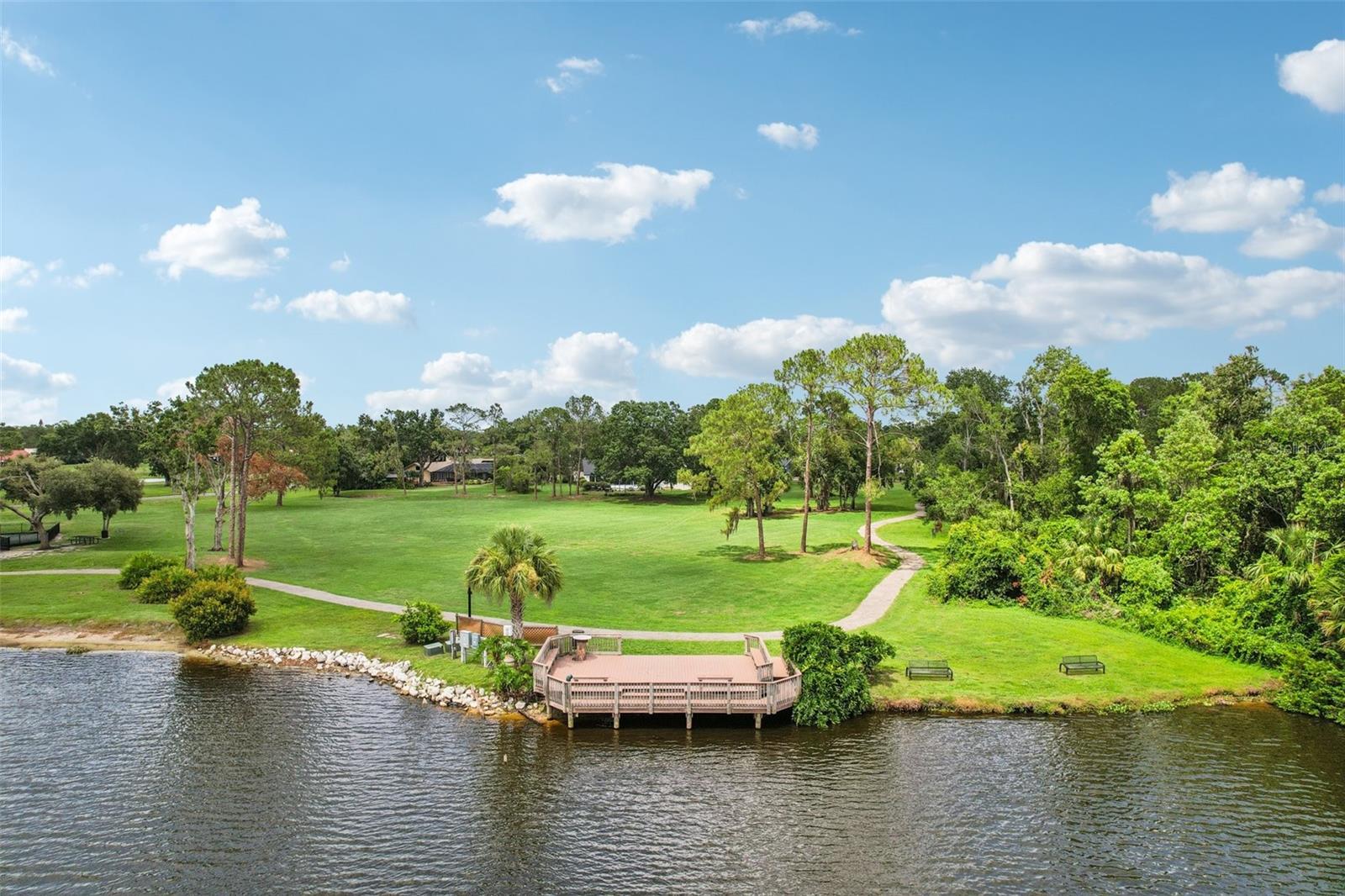 3062 SUTTON WOODS DR, PLANT CITY, FL — photo 48