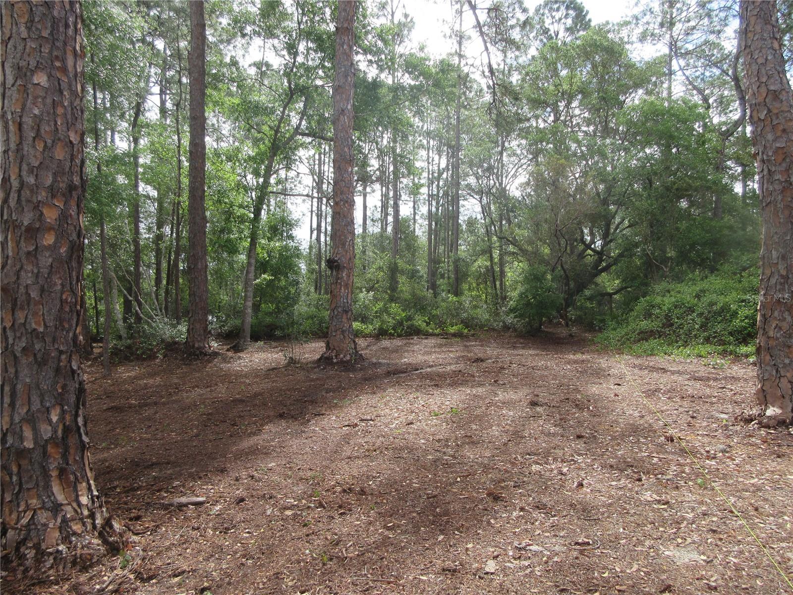 0 SE 10TH ST, SILVER SPRINGS, FL — photo 8