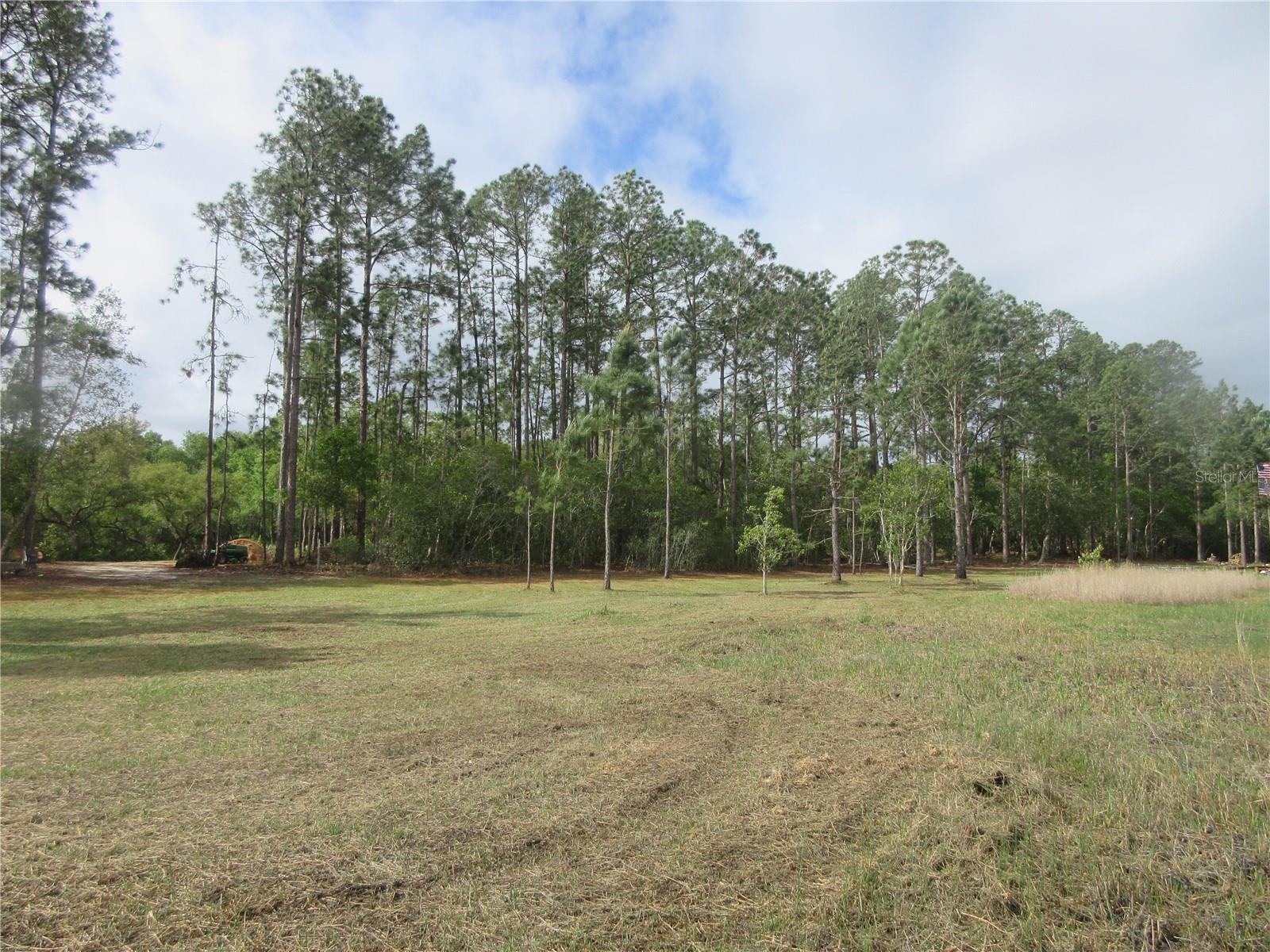 0 SE 10TH ST, SILVER SPRINGS, FL — photo 10