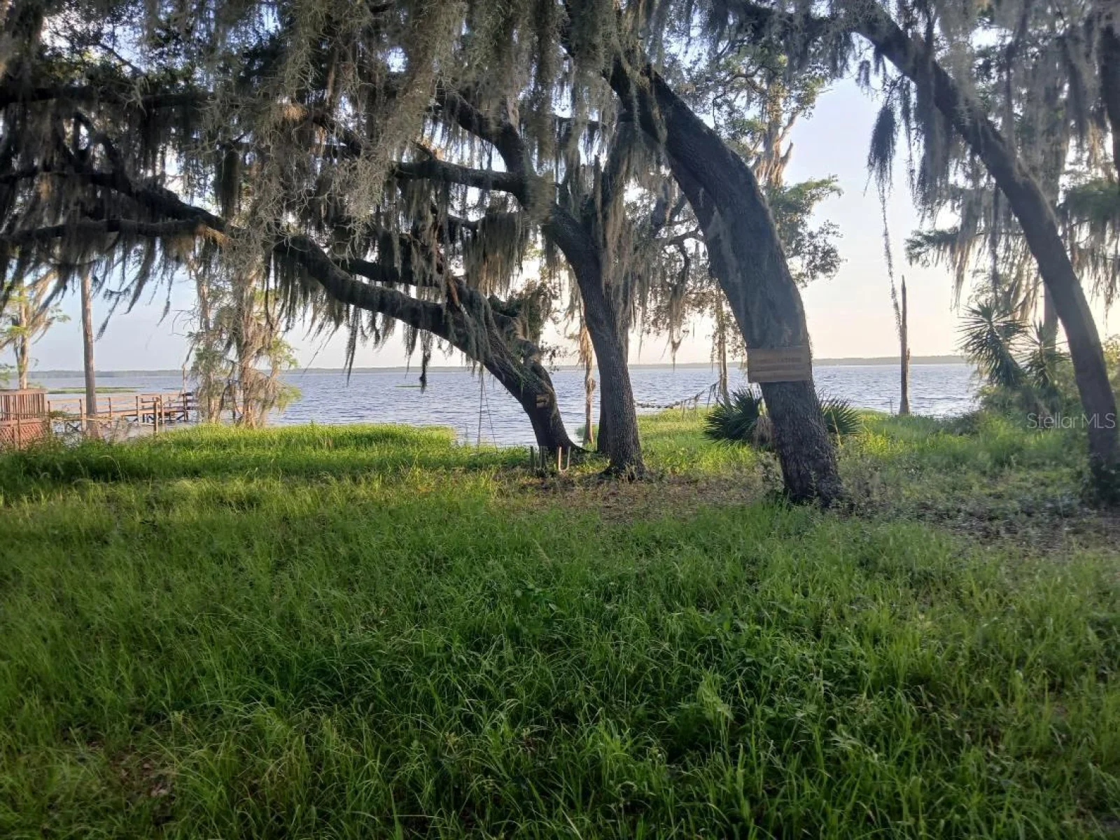 10012 LAKE LOUISA RD, CLERMONT, FL — photo 50