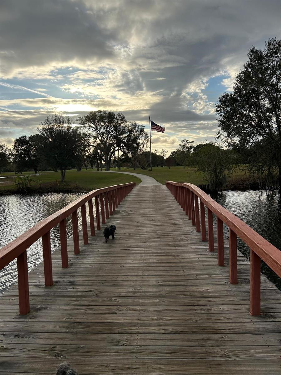 109 JAPONICA AVE, INDIAN LAKE ESTATES, FL — photo 19
