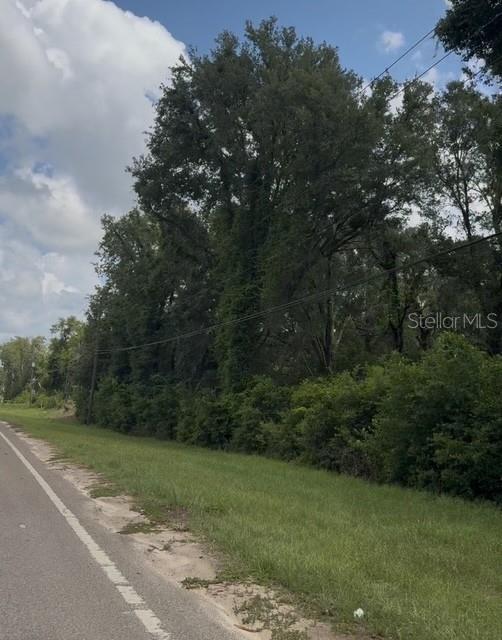 17297 PONCE DE LEON BLVD, BROOKSVILLE, FL — photo 5