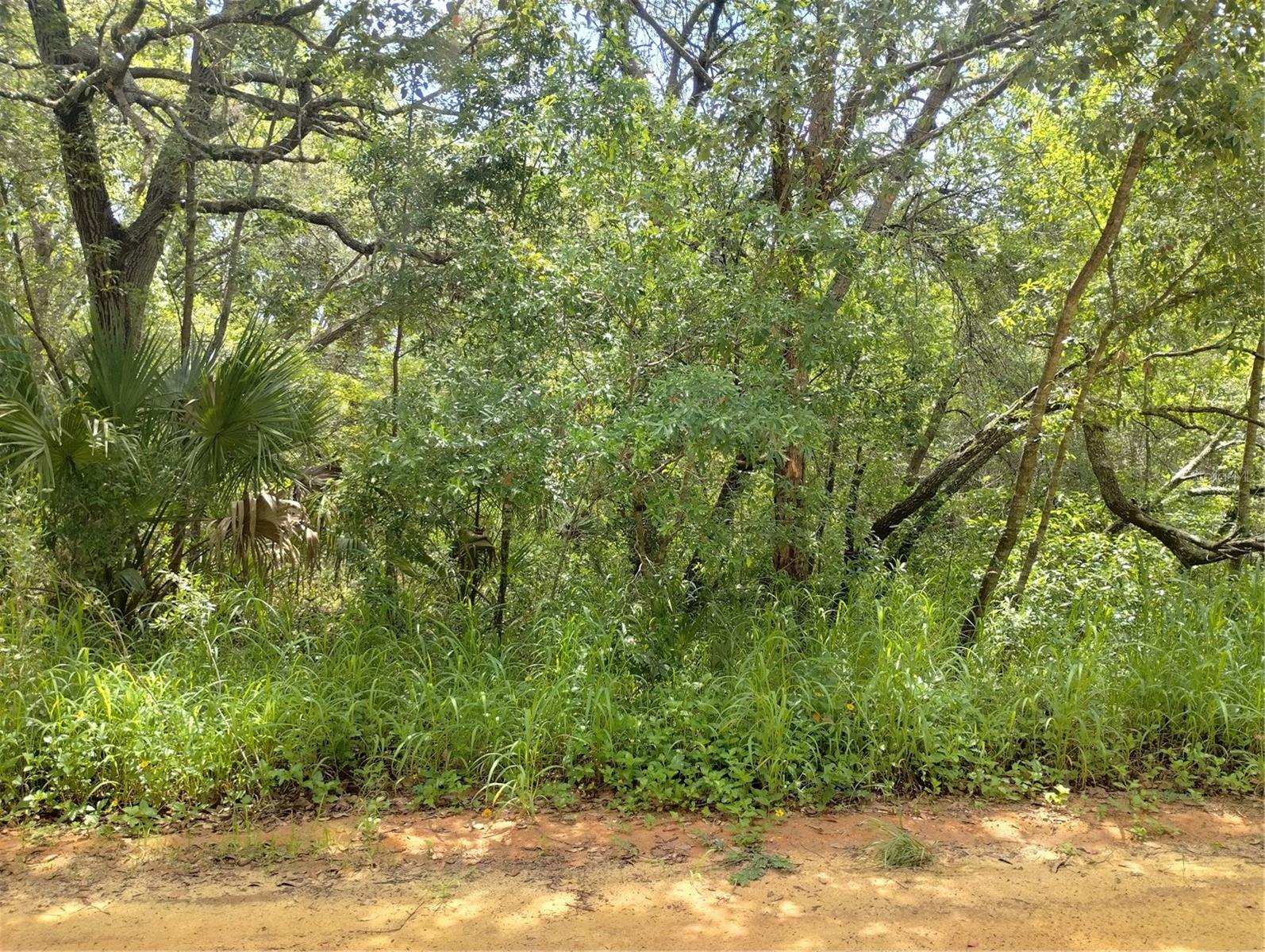 DOGWOOD WAY, LADY LAKE, FL — photo 9