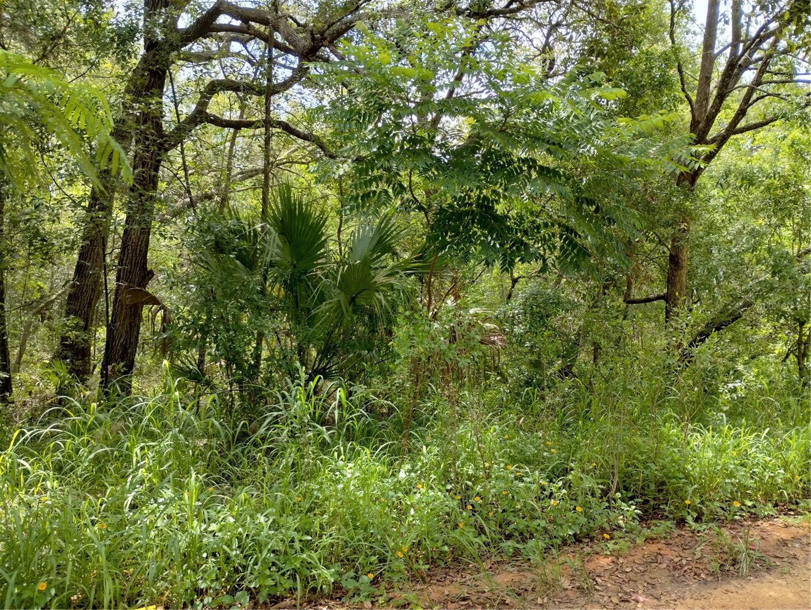 DOGWOOD WAY, LADY LAKE, FL — photo 12
