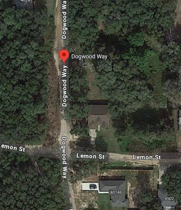 DOGWOOD WAY, LADY LAKE, FL — photo 14