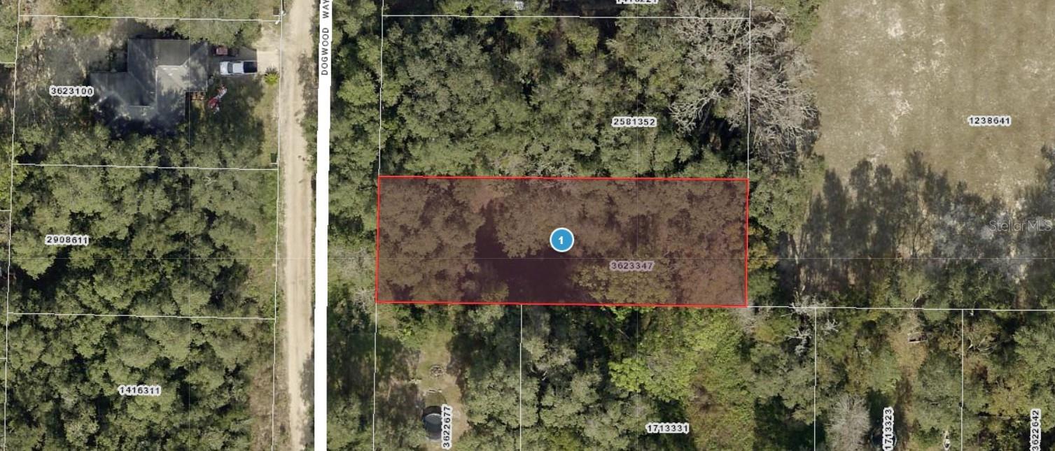 DOGWOOD WAY, LADY LAKE, FL — photo 15