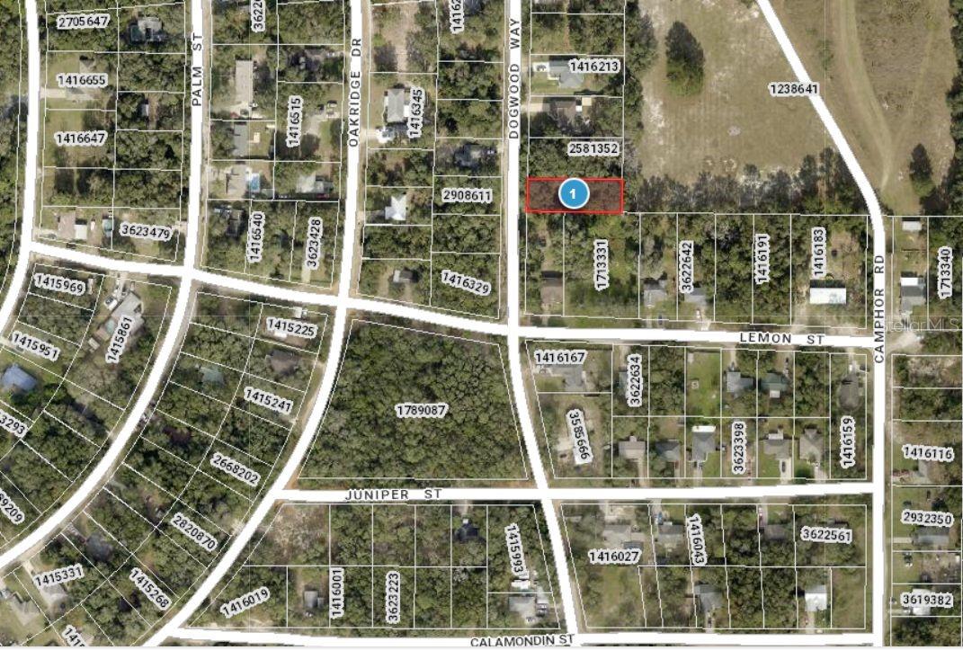 DOGWOOD WAY, LADY LAKE, FL — photo 17