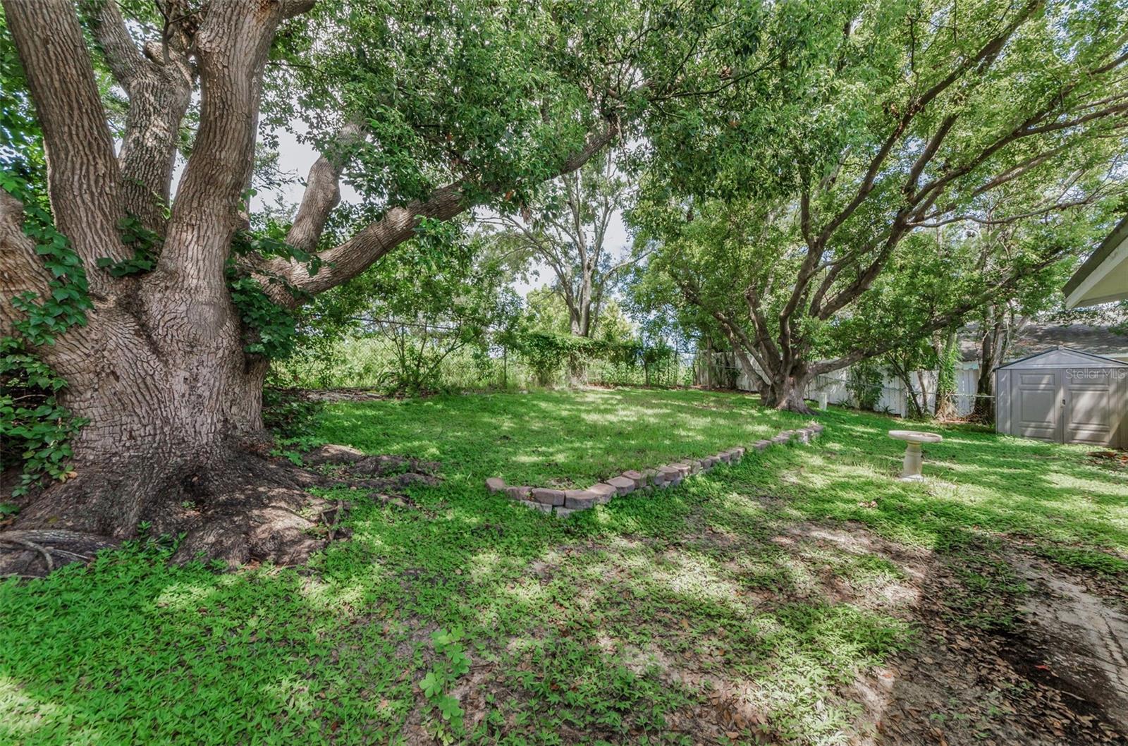 1558 COTTONWOOD TER, DUNEDIN, FL — photo 33
