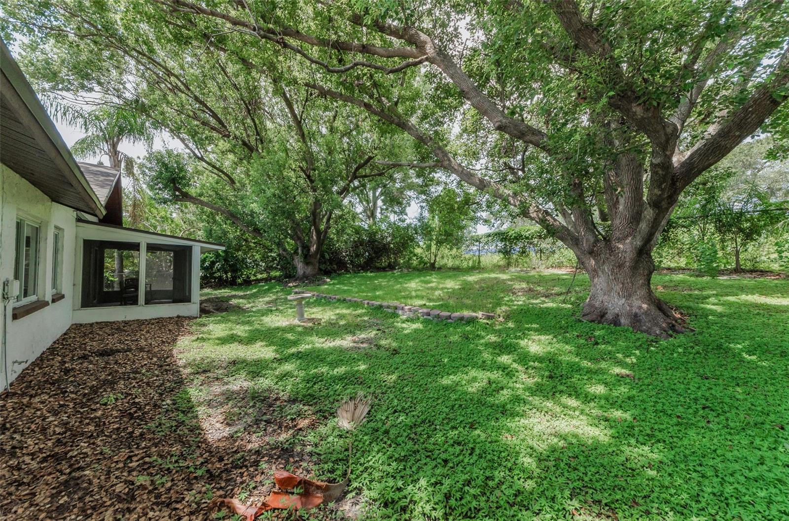 1558 COTTONWOOD TER, DUNEDIN, FL — photo 34