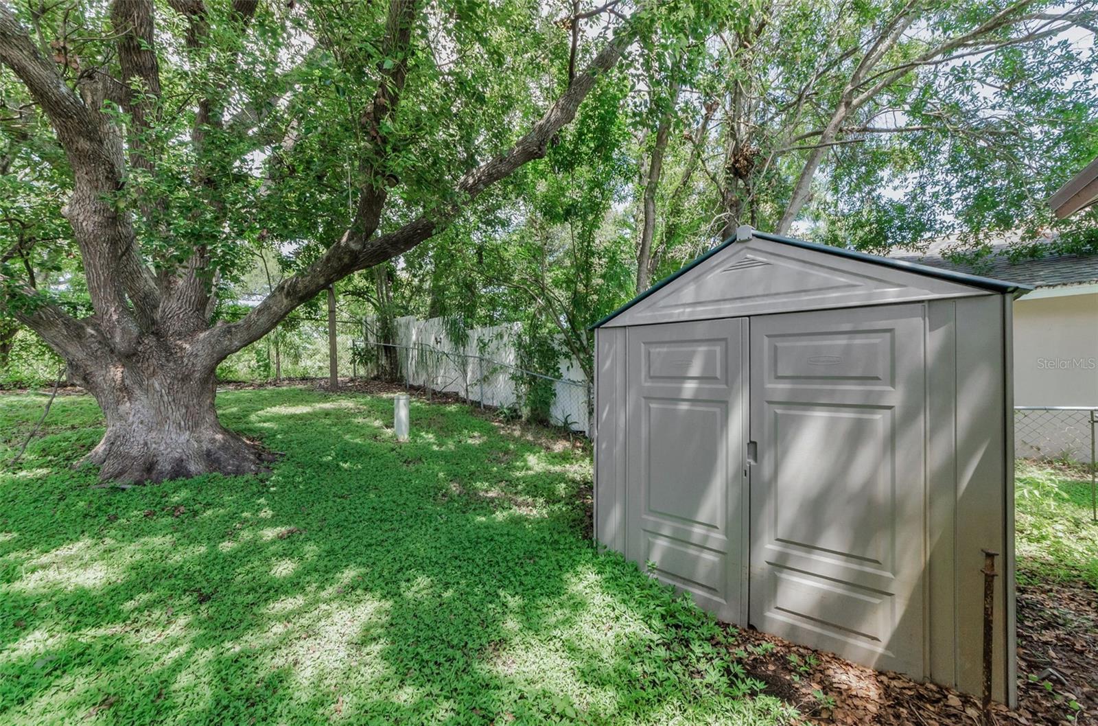 1558 COTTONWOOD TER, DUNEDIN, FL — photo 35