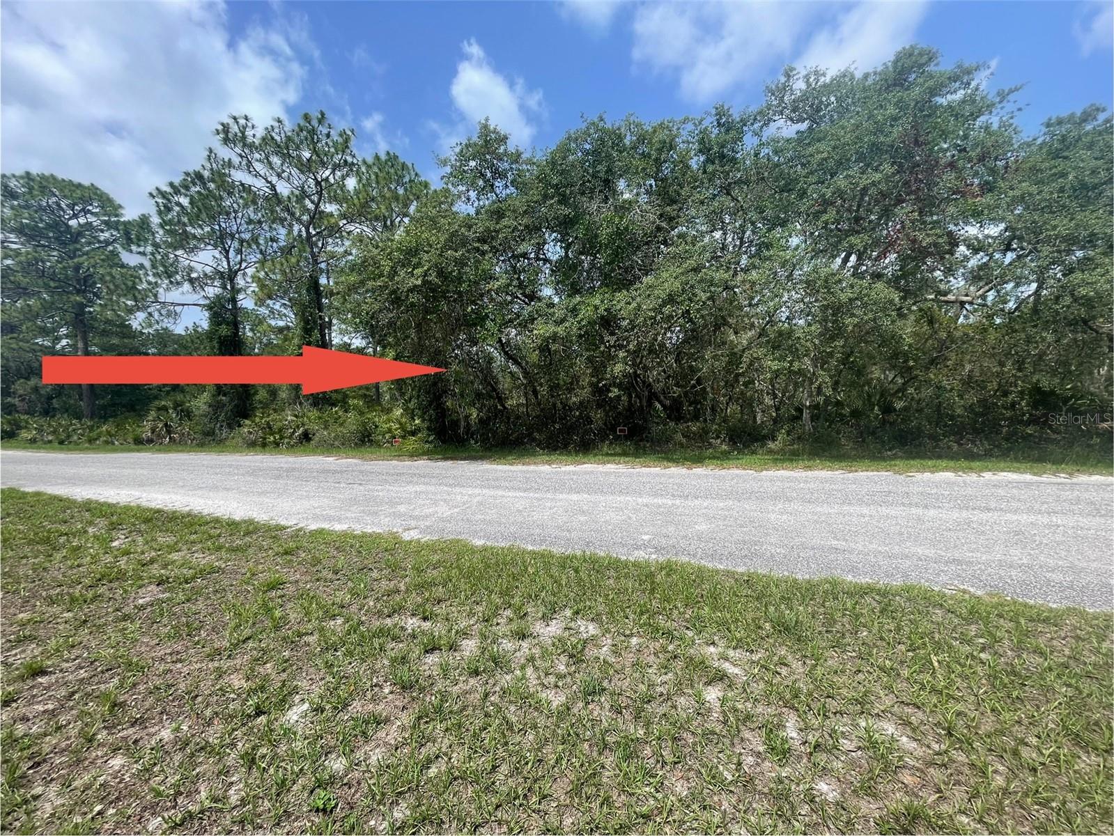E CASHEW CT, EUSTIS, FL — photo 4