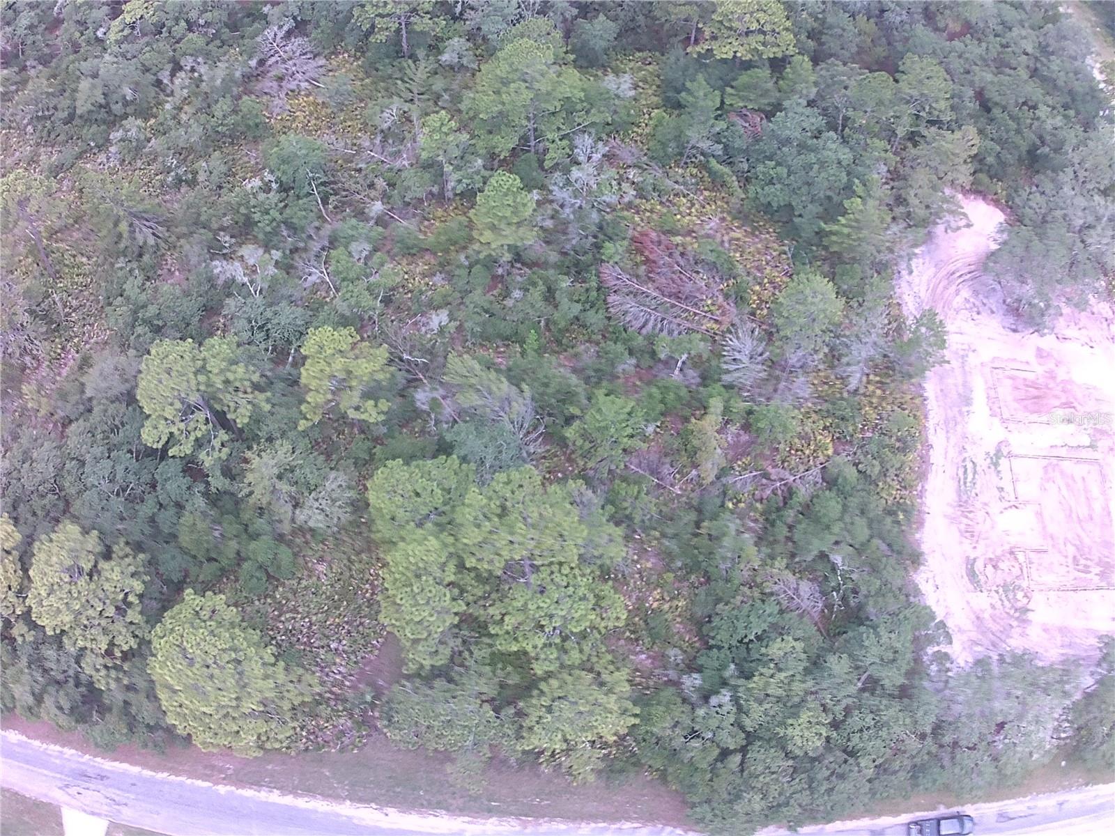 E CASHEW CT, EUSTIS, FL — photo 5