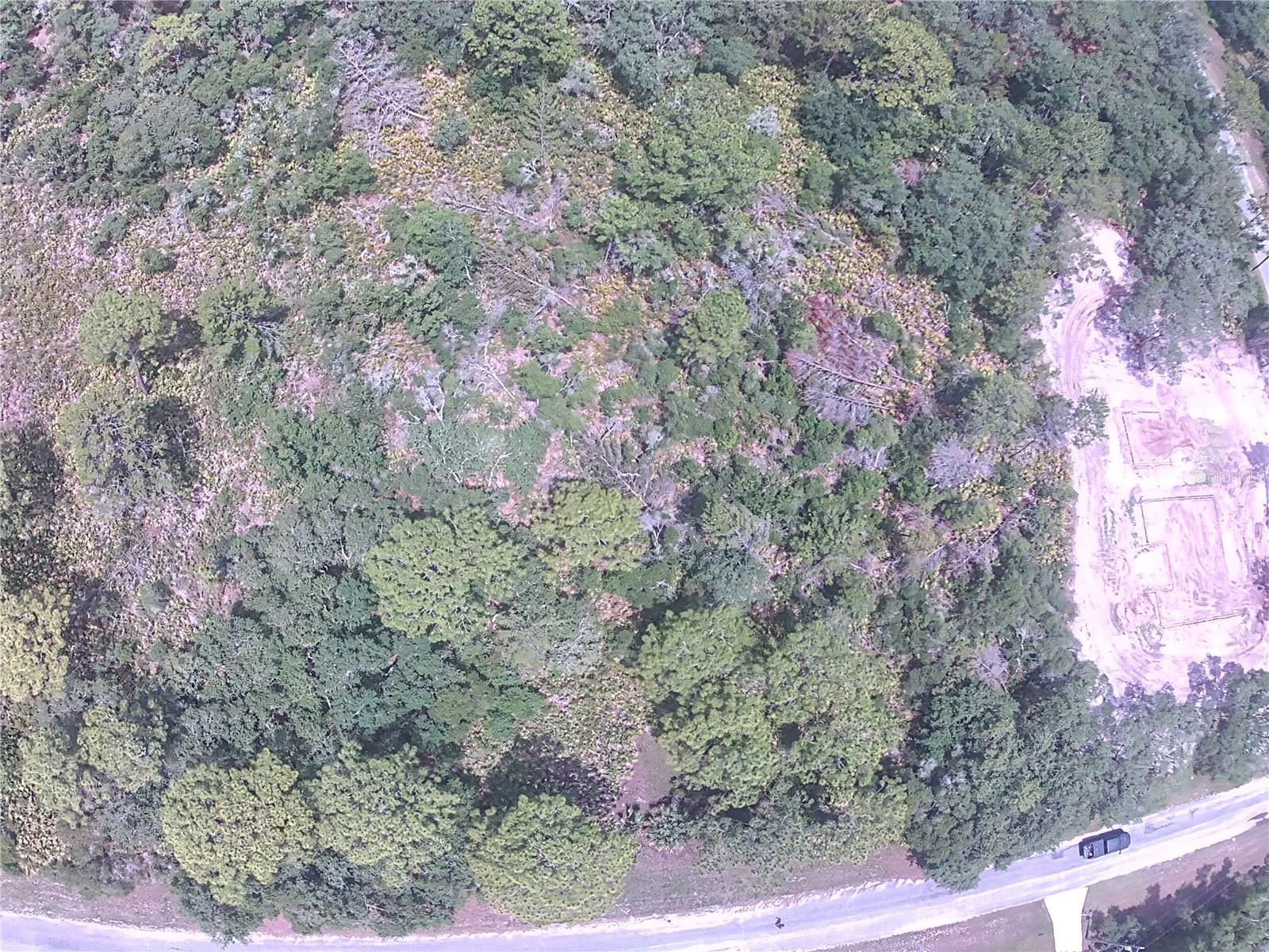 E CASHEW CT, EUSTIS, FL — photo 7