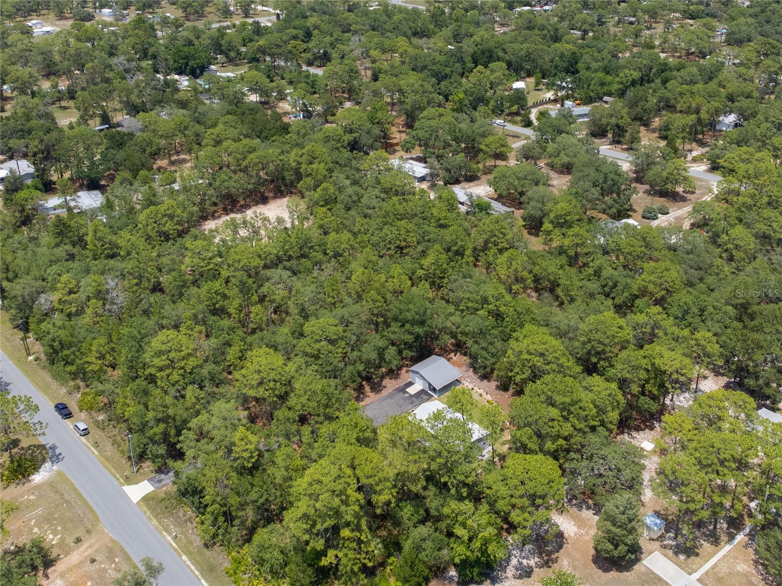 7039 S STRAIGHT AVE, HOMOSASSA, FL — photo 20
