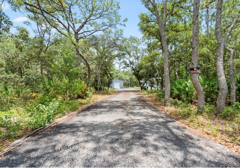 7039 S STRAIGHT AVE, HOMOSASSA, FL — photo 22