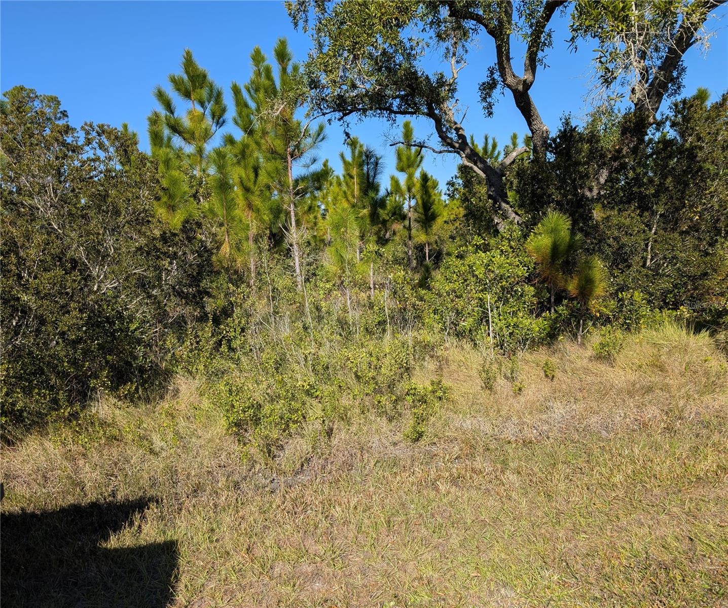 0 TROPICANA DR, INDIAN LAKE ESTATES, FL