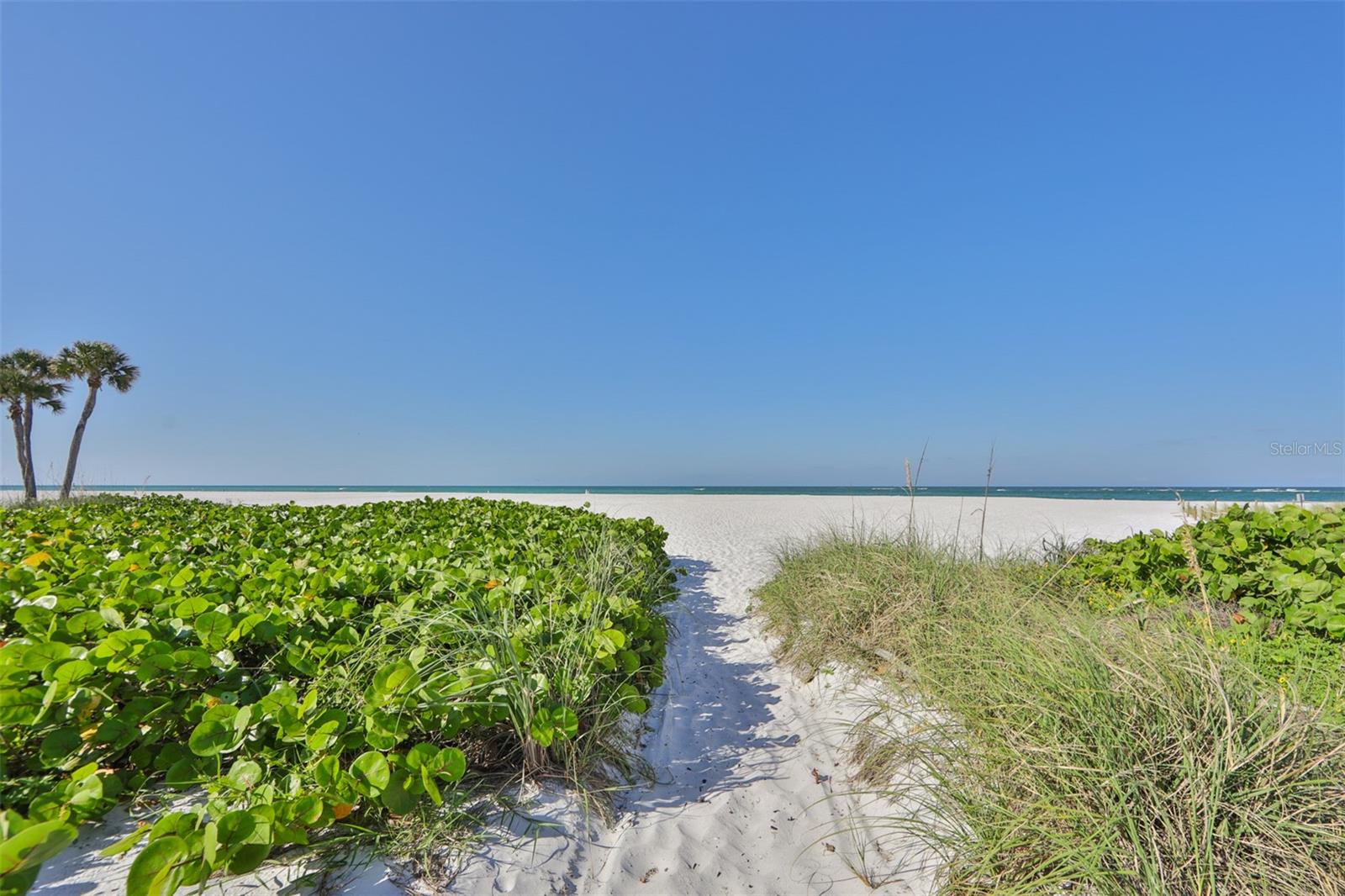 108 125TH AVE, TREASURE ISLAND, FL — photo 18