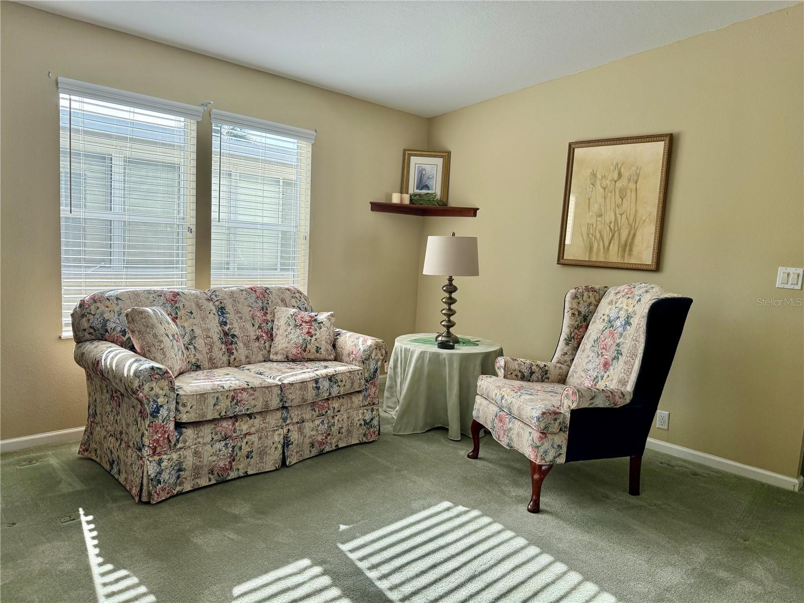 250 S PORT ROYAL LN, APOLLO BEACH, FL — photo 3