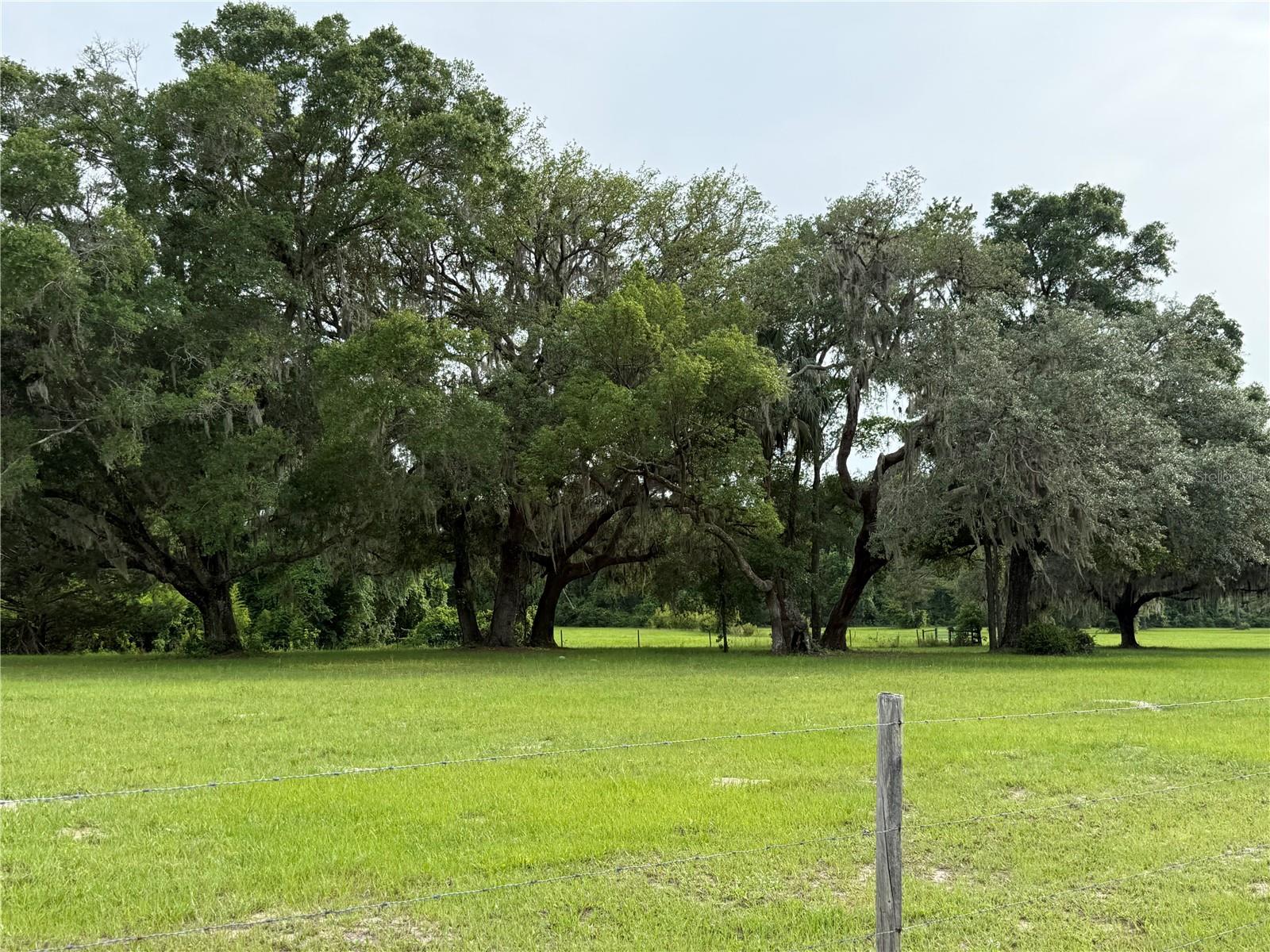 1360 S STATE ROAD 19, PALATKA, FL — photo 4